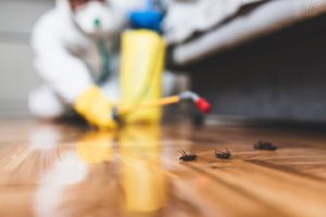 Exterminator